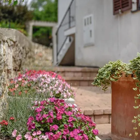 Casa de hóspedes Stella