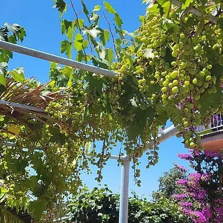 Stella Pensionat Vinkuran
